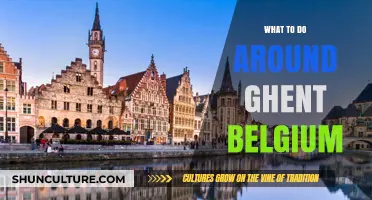 Exploring Ghent: Unmissable Attractions and Hidden Gems in Belgium's Charming City