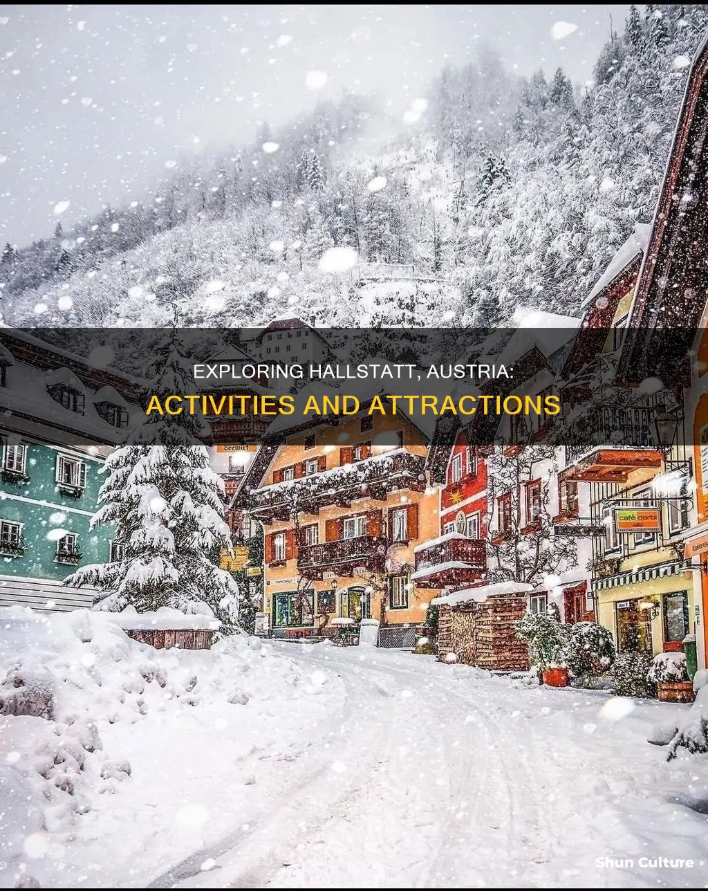 what to do around hallstatt austria