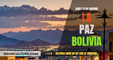 Exploring La Paz, Bolivia: A Travel Guide