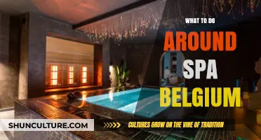 Discovering Serenity: Top Spa Experiences in Belgium