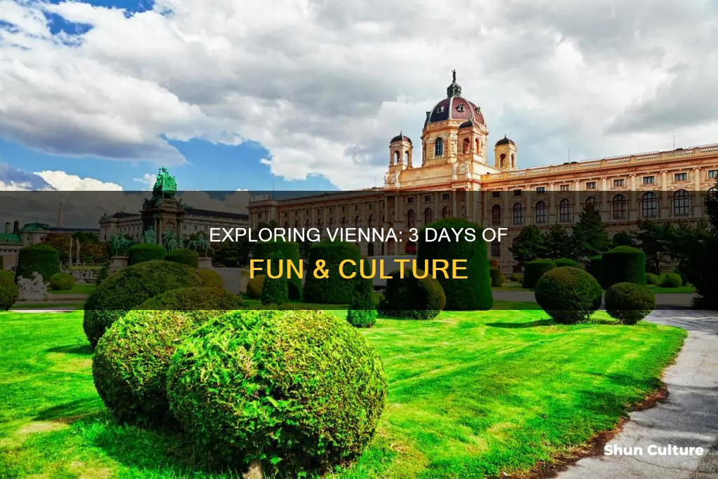 what to do around vienna austria