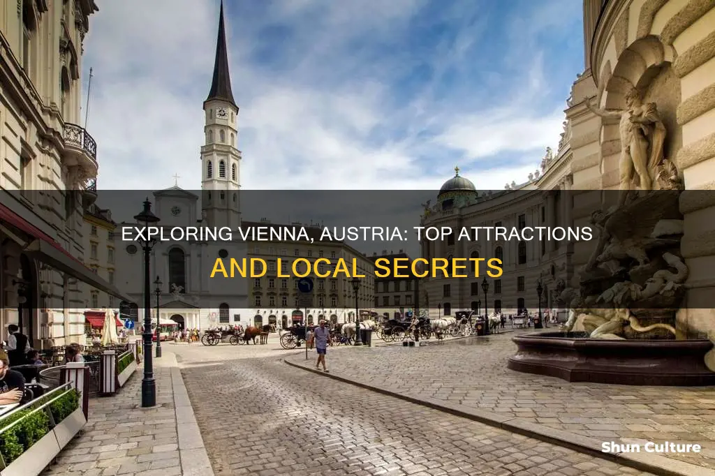 what to do around vienna austria