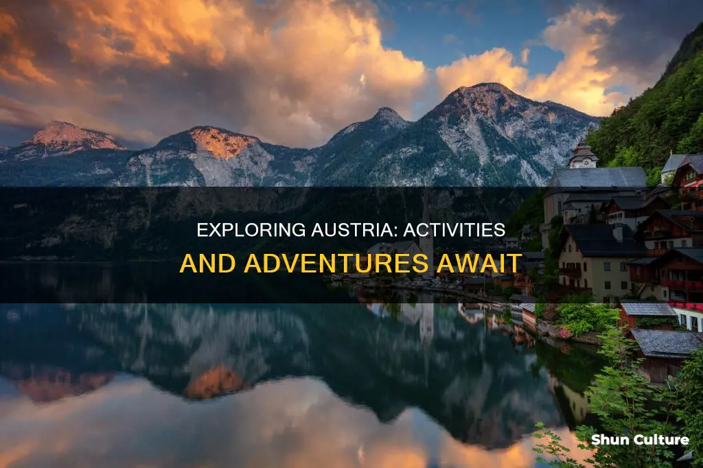 what to do austria