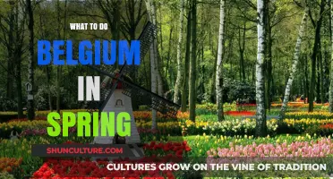 Exploring Belgium's Springtime Wonders: A Traveler's Guide