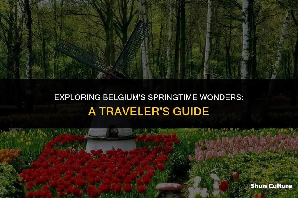 what to do belgium in spring