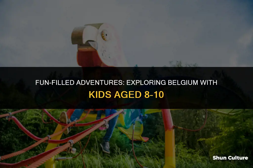 what to do belgium kids