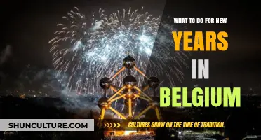 Ring in the New Year: Top Belgian Celebrations and Traditions
