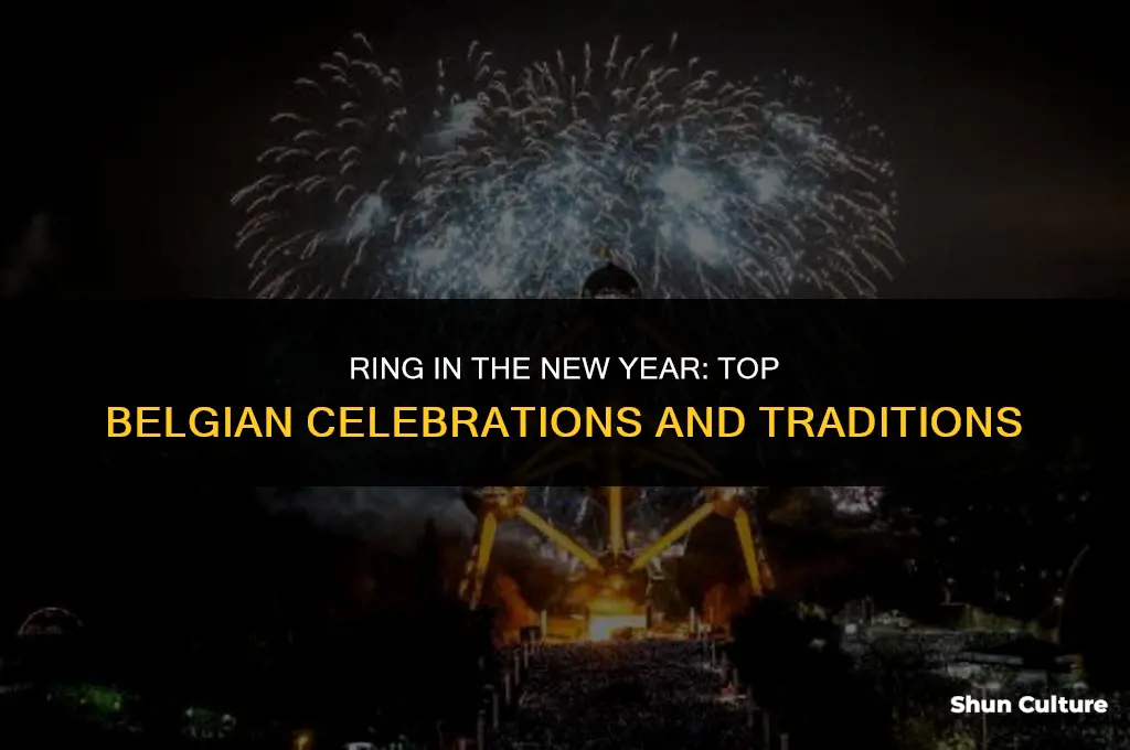 what to do for new years in belgium