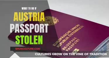 A Comprehensive Guide: What to Do When Your Austrian Passport is Stolen