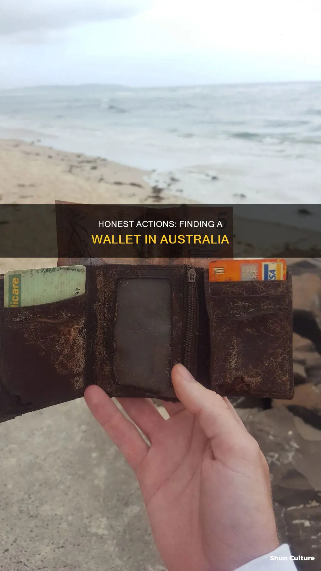 what to do if you find a wallet australia