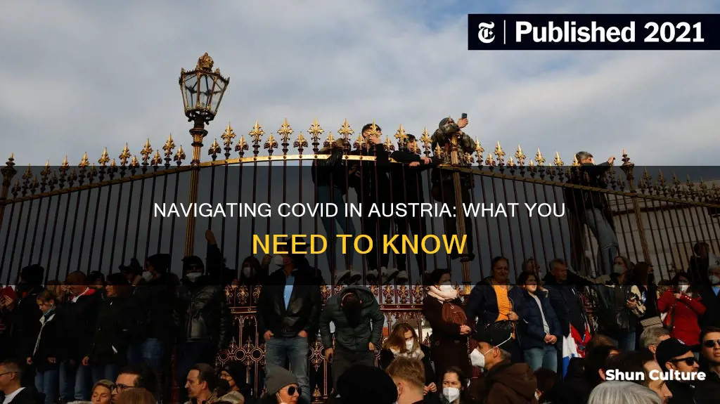 what to do if you have covid austria