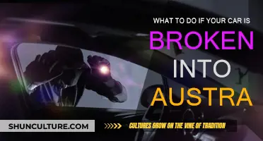 Car Break-Ins: What to Do and How to Prevent It