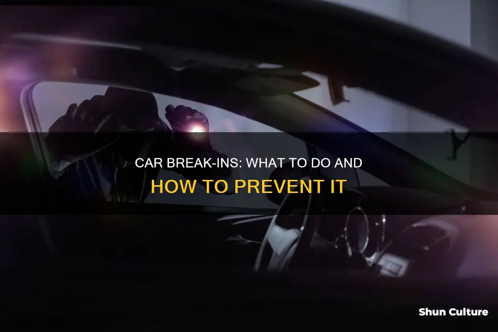 what to do if your car is broken into australia