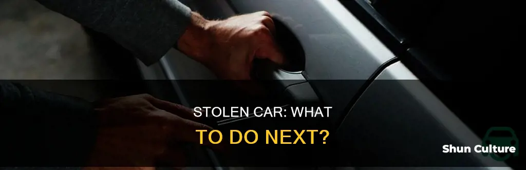 what to do if your car is stolen australia
