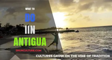 Discover Antigua's Best Beaches, Adventures, and Cultural Treasures to Explore