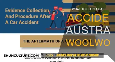 Stay Safe: Steps to Take After a Car Accident