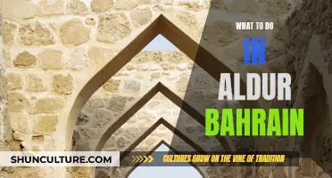 Exploring Aldur, Bahrain: A Local's Guide to Adventure