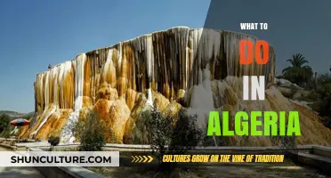Exploring Algeria: Top Attractions, Adventures, and Cultural Experiences to Discover