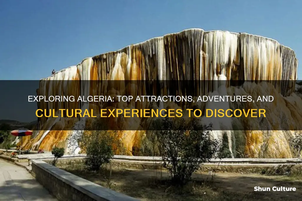 what to do in algeria