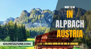 Alpbach Adventure: Uncover Austria's Mountain Paradise