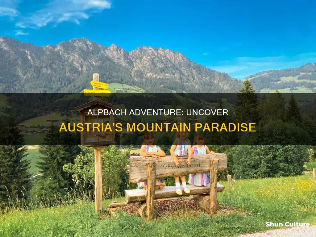 what to do in alpbach austria