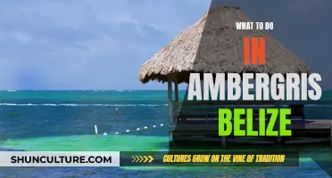 Discovering Adventures in Ambergris Caye