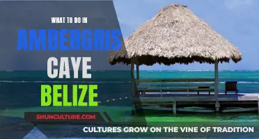 Exploring Ambergris Caye: The Ultimate Belize Adventure