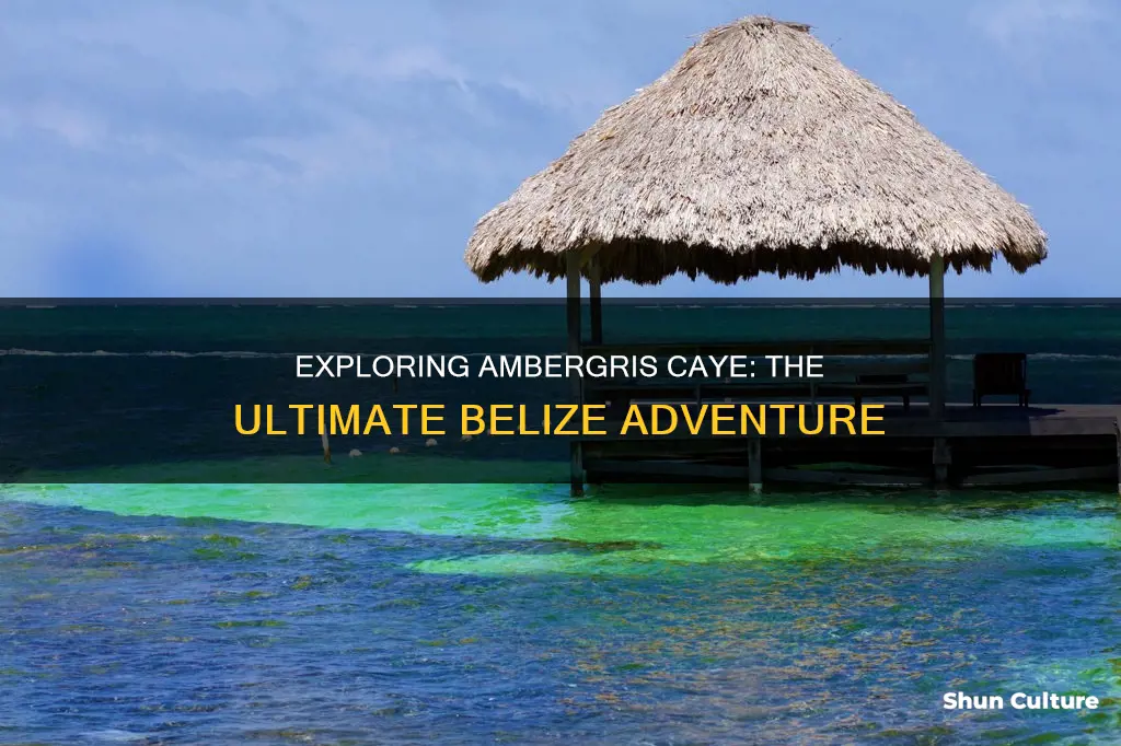 what to do in ambergris caye belize