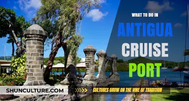 Exploring Antigua: Top Activities & Excursions at the Cruise Port