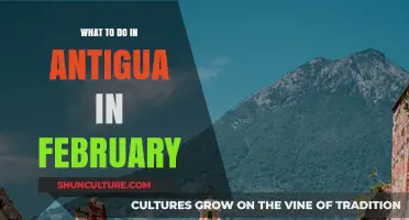 February Fun in Antigua: Top Activities and Events to Enjoy