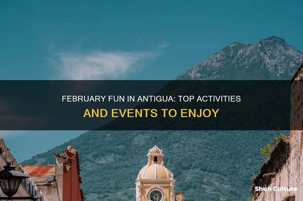 what to do in antigua in February