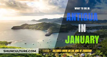 January Adventures: Top Activities and Events in Antigua to Enjoy