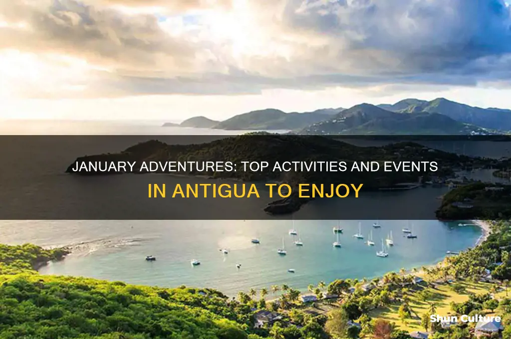 what to do in antigua in january