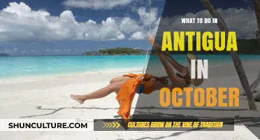 October Adventures: Exploring Antigua's Best Activities and Hidden Gems