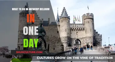 Exploring Antwerp: A Perfect One-Day Itinerary in Belgium