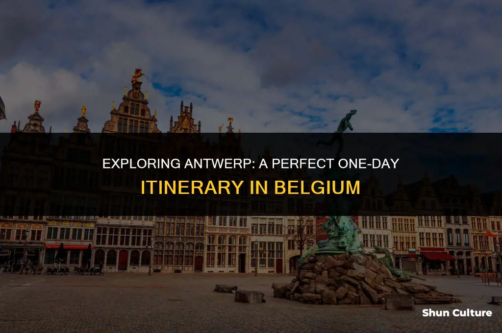 what to do in antwerp belgium in one day