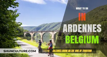 Exploring Ardennes, Belgium: A Guide to Unforgettable Adventures