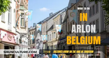 Discovering Arlon, Belgium: A Guide to Its Hidden Gems and Local Favorites