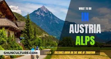 Alpine Adventures: Exploring Austria's Majestic Mountain Paradise