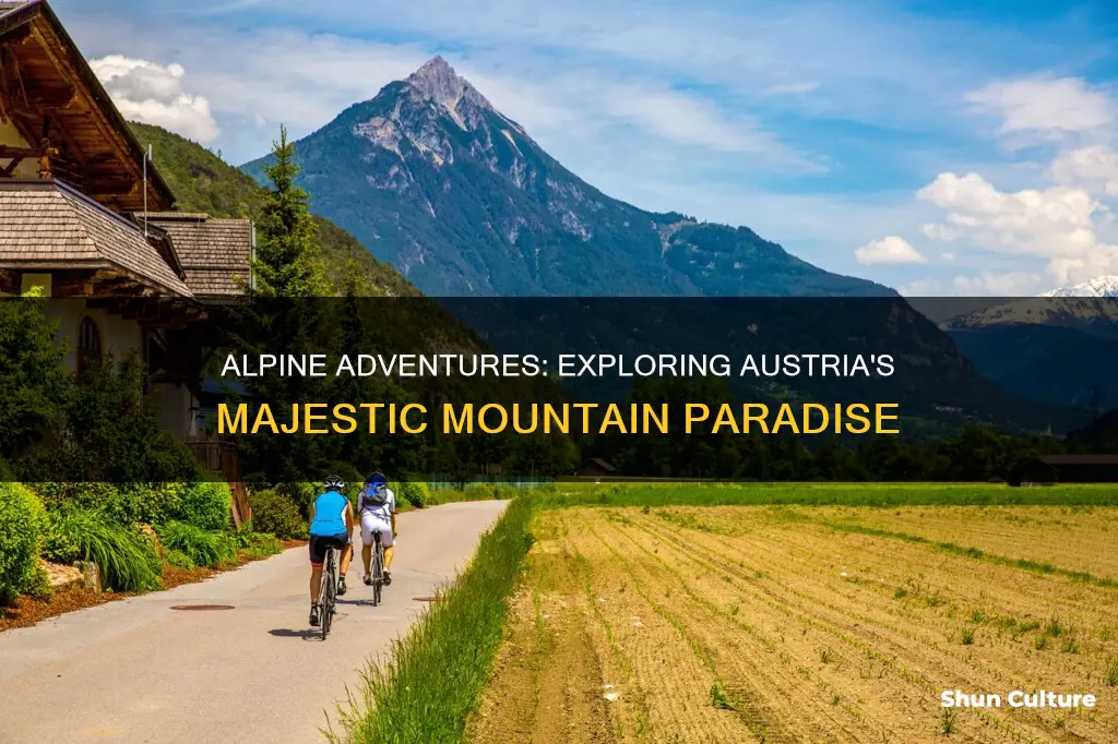 what to do in austria alps