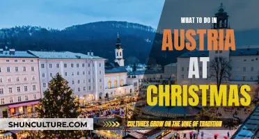 Austria's Christmas Magic: A Festive Adventure Awaits