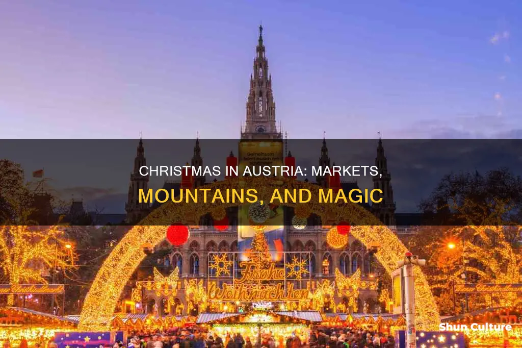 what to do in austria at christmas