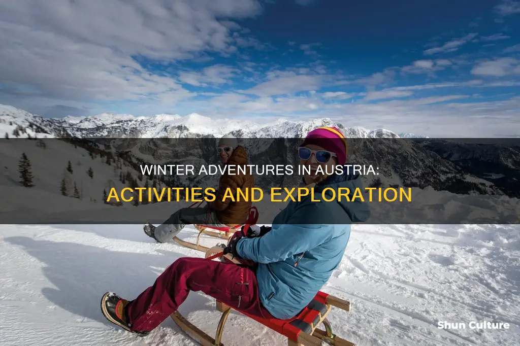 what to do in austria during winter