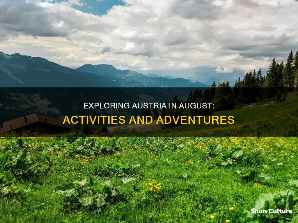 what to do in austria in august