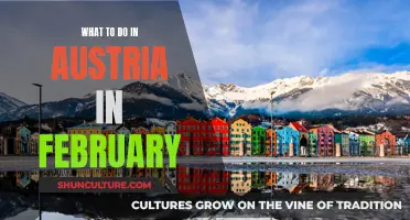 Winter Adventures: Exploring Austria's February Delights