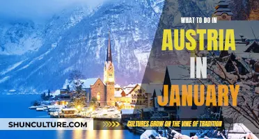 Winter Adventures: Exploring Austria's Charms in January