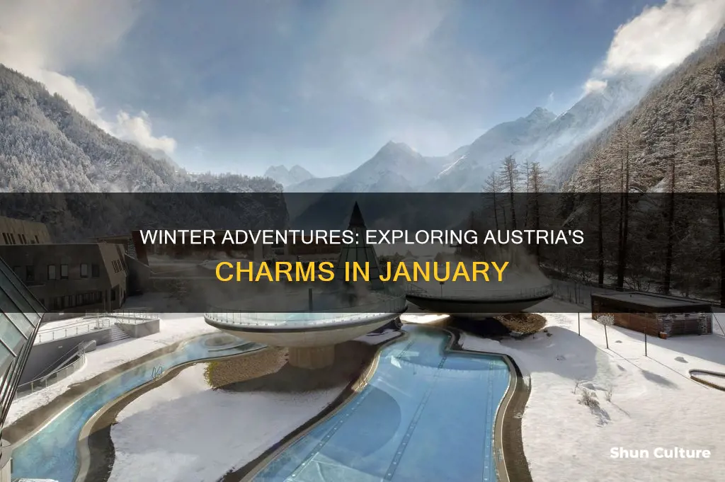 what to do in austria in january