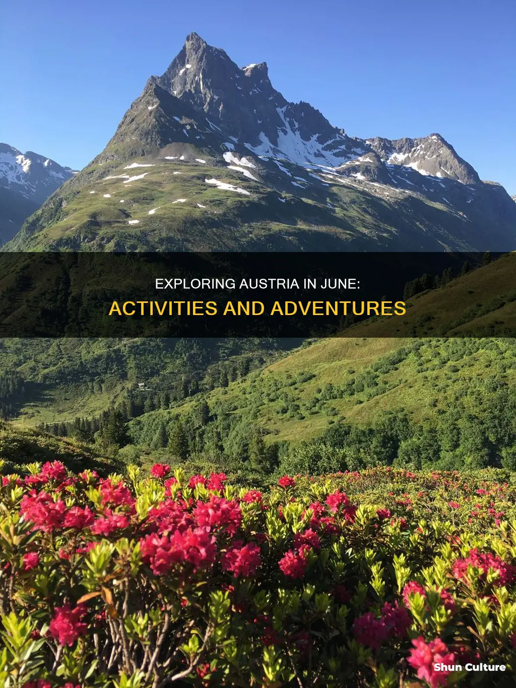 what to do in austria in june