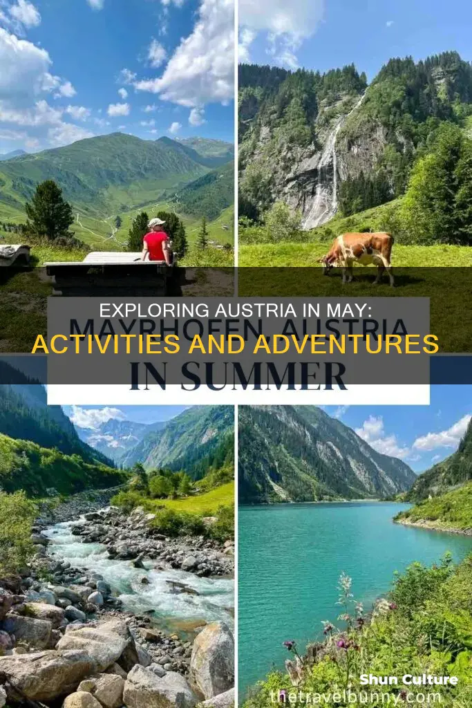 what to do in austria in may