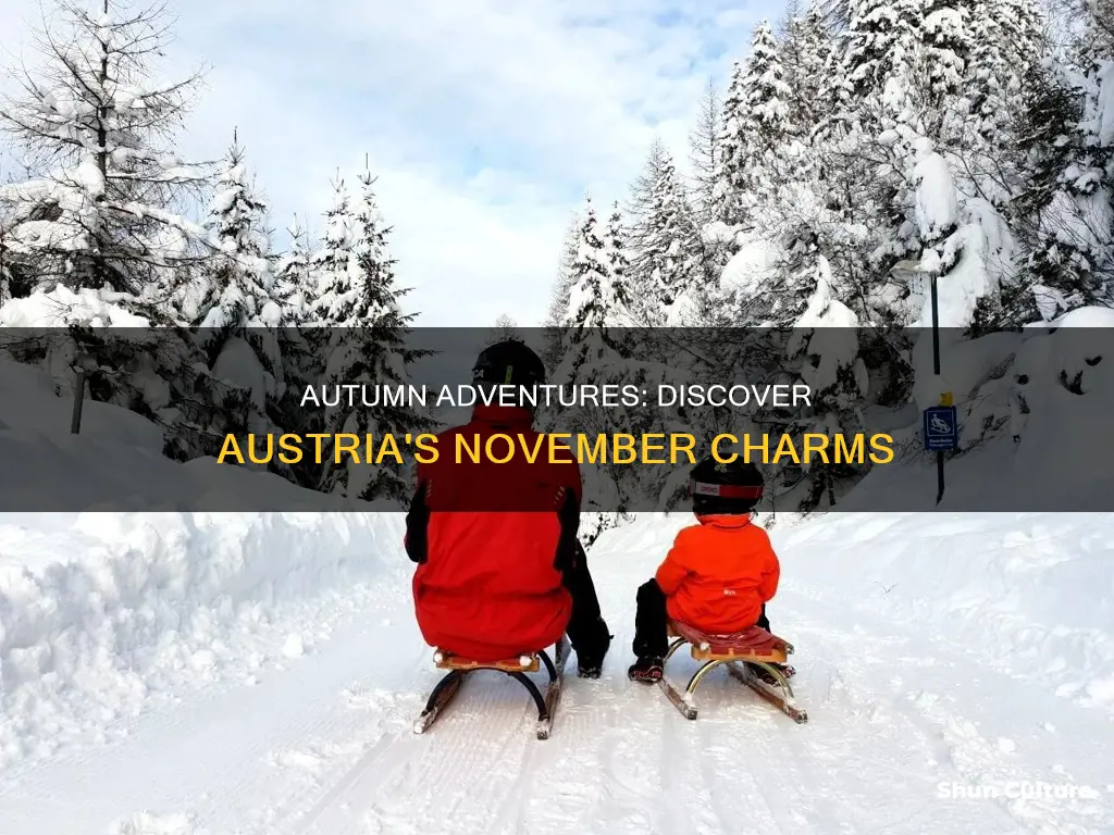 what to do in austria in november